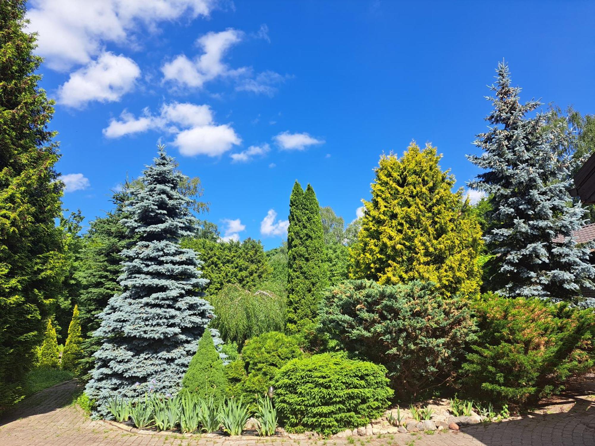 Champetre Park View Apartments Riga Bagian luar foto